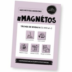 Die Magnetos Kleine Missionen - Aufgaben der Stufe 6 (12+ Jahre)